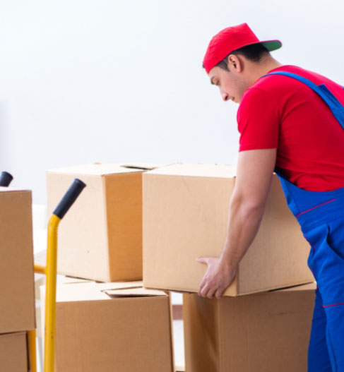 International Packers and Movers